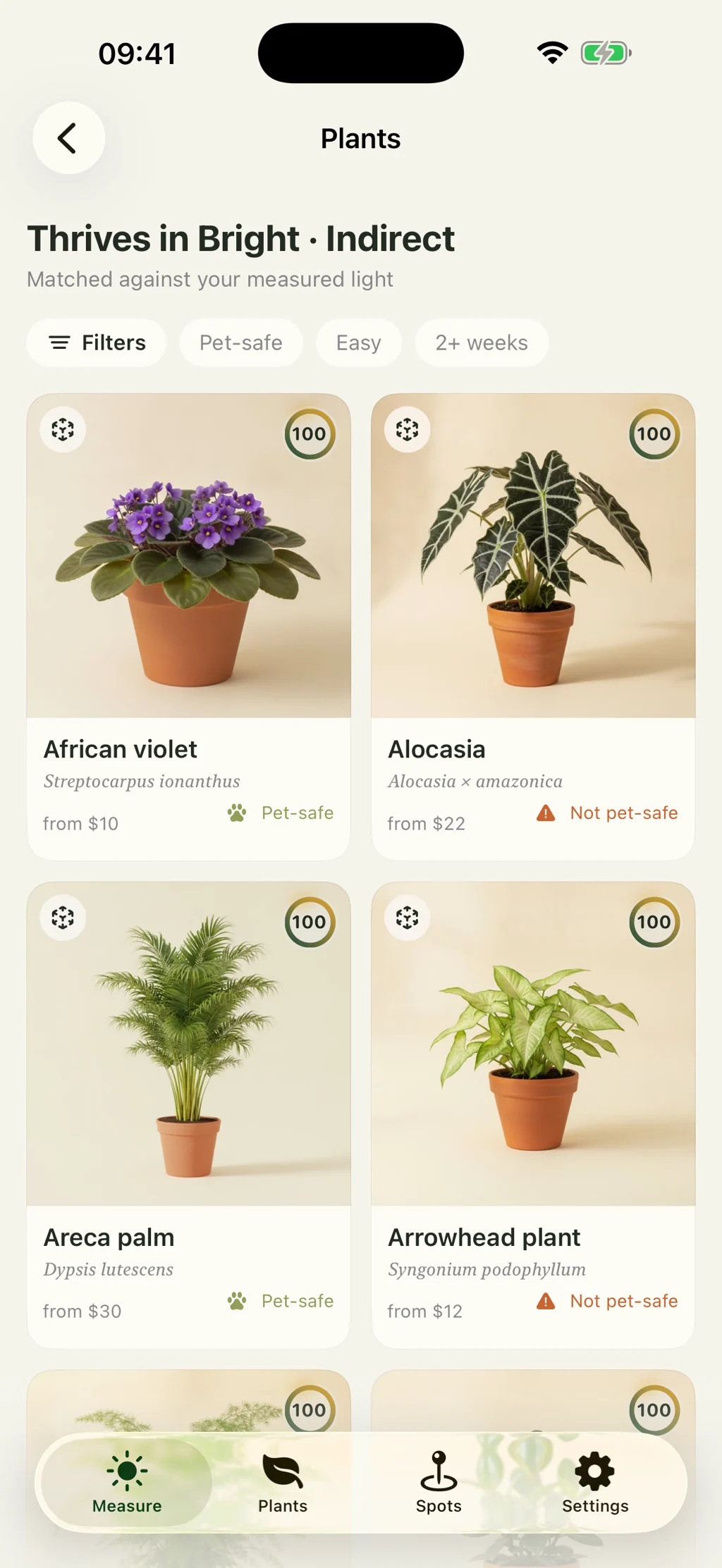Plants matched to the measured light, with pet safety on each card